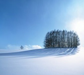 静静的雪